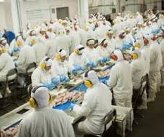 Campanha Salarial  das agroindústrias sem avanços